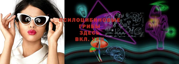 шишки Медногорск