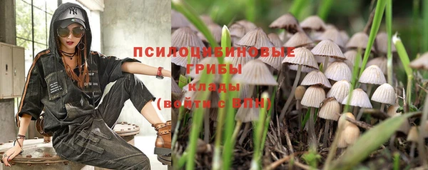 мескалин Алексин