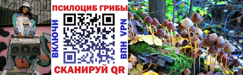 Галлюциногенные грибы MAGIC MUSHROOMS купить наркотики сайты Чебаркуль